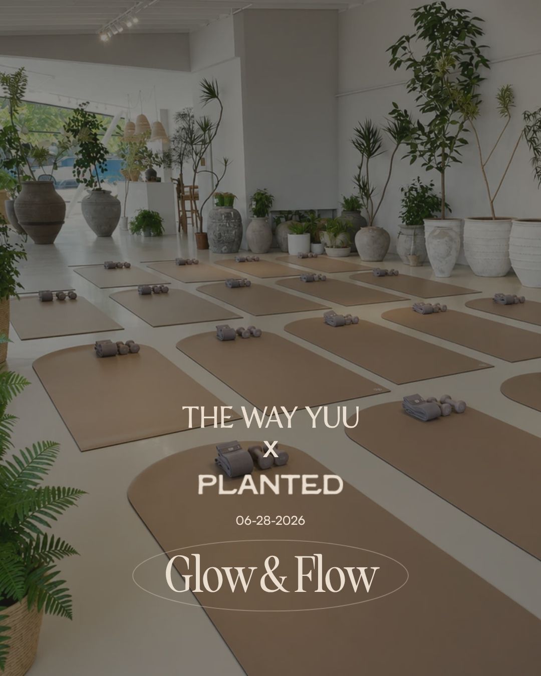 Glow & Flow