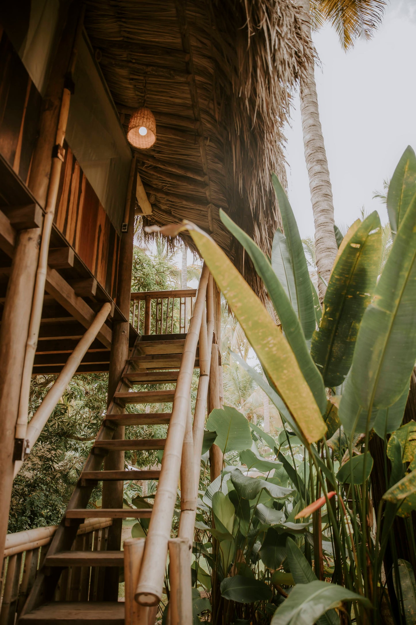 Pre-book Your Room: